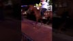 What Really Happens When a Horse Walks Into a Bar?