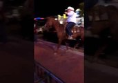 What Really Happens When a Horse Walks Into a Bar?
