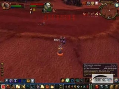 Wow paladin zaku lvl 60-61