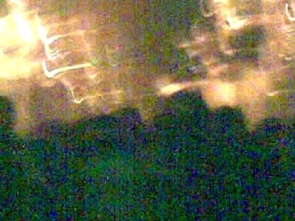 Guitare magique et archet géant Emir kusturica