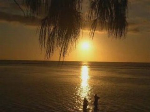 Bilan 2007 + Remerciements