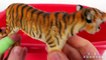 Lots of Wild Animals Learn Zoo Safari Sea Animal Names for Babies Kids Children Box of Toys
