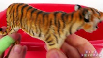 Lots of Wild Animals Learn Zoo Safari Sea Animal Names for Babies Kids Children Box of Toys