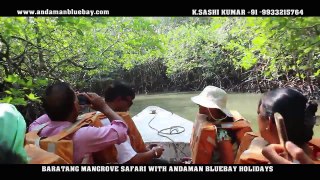 Baratang Mangrove Safari With Andaman Bluebay Holidays