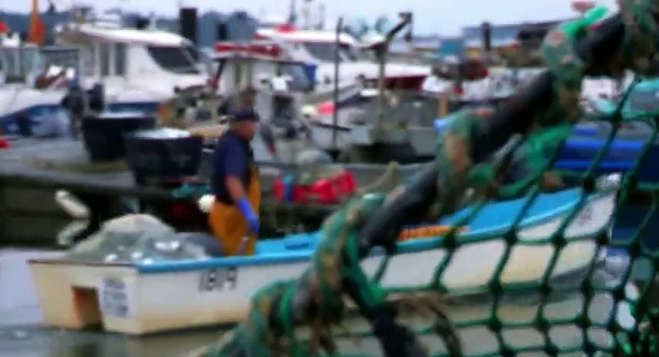 Harbour Lives S02  E02 E 2