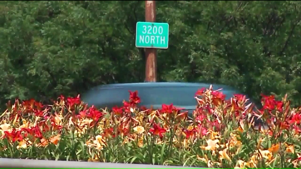 Anti-Violence Activists Plan to Shut Down Chicago Expressway During Lollapalooza