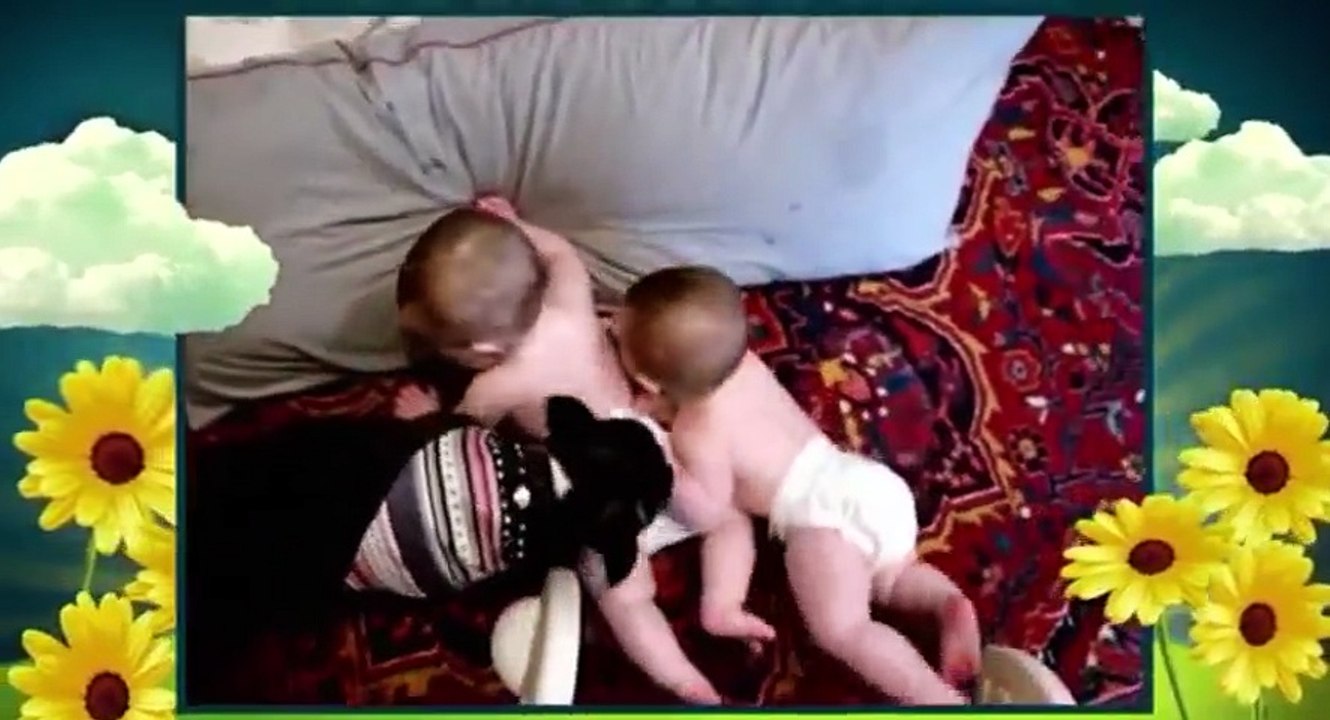 America Cutest S01xxE01 America s Cutest Dog 2009 - Part 03