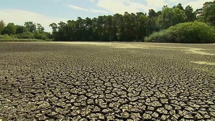 شاهد تأثير موجة الحر على الحياة في ألمانيا