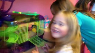 Landrys 7th Birthday Surprise Hamster