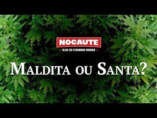 ERVA MALDITA OU ERVA SANTA?
