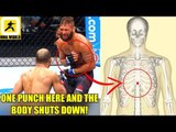 This is how Jose Aldo was able to stop Jeremy Stephens with his body shot,TJ on Garbrandt