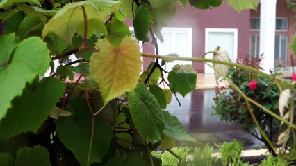 Welcome to Atlantic Chiropractic Associates