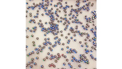 Time-lapse of 400 Kilobot robots forming consensus