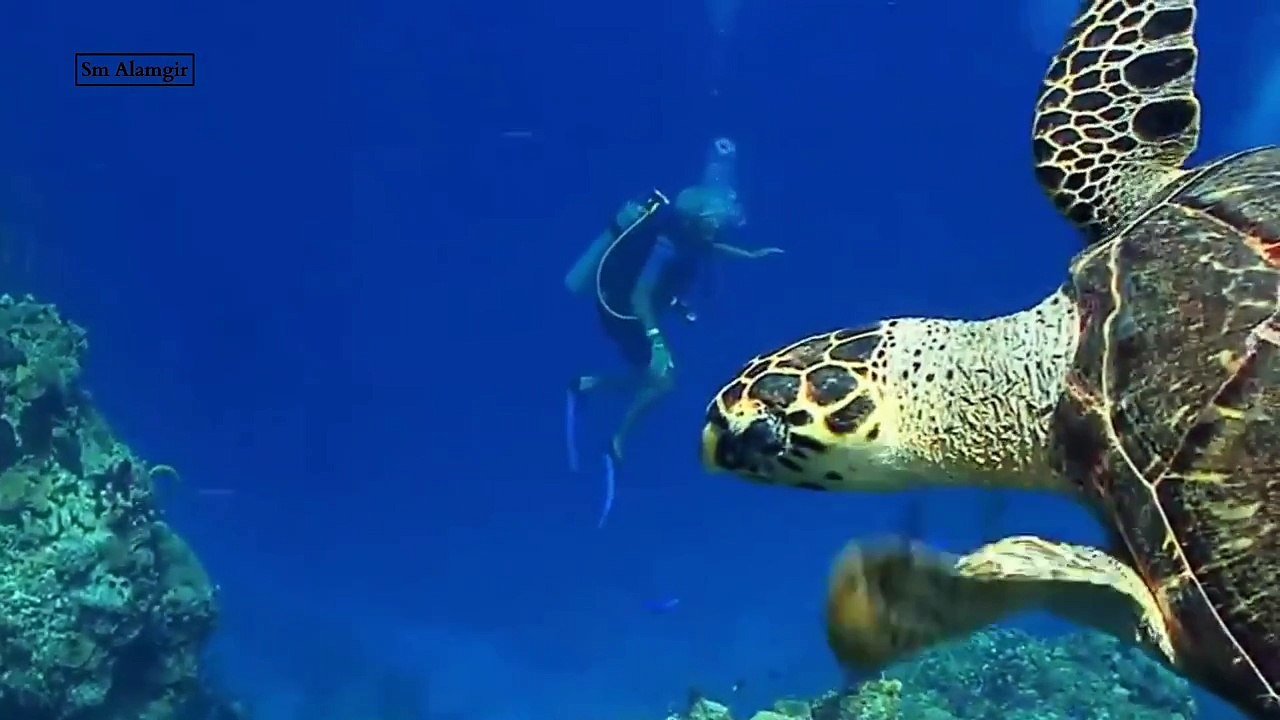 Mother earth is dying | social | sm alamgir