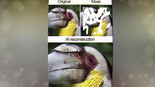 10+ Photos Before And After This AI-Powered Tool Fixed Them Look Too Good To Be True - Now You See