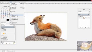 GIMP: How to Make a Background Transparent