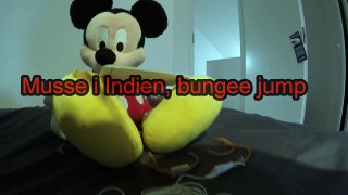 Mickey Mouse in India, bungee jump