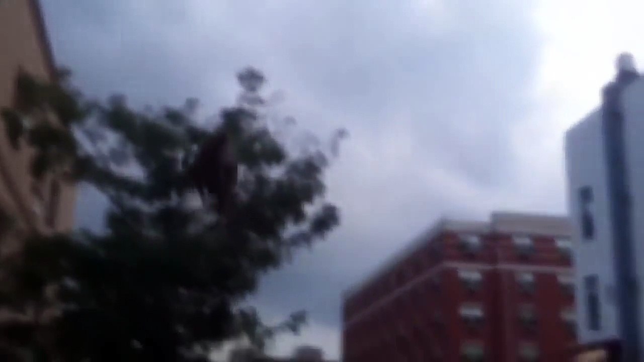 'Itsy-Bitsy Spider' song, Sung by Targeted individual: TimothyTrespas