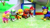 Paw Patrol Rescue Dragon and Transformed to Mission Quest Pups