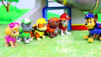 Paw Patrol Rescue Dragon and Transformed to Mission Quest Pups