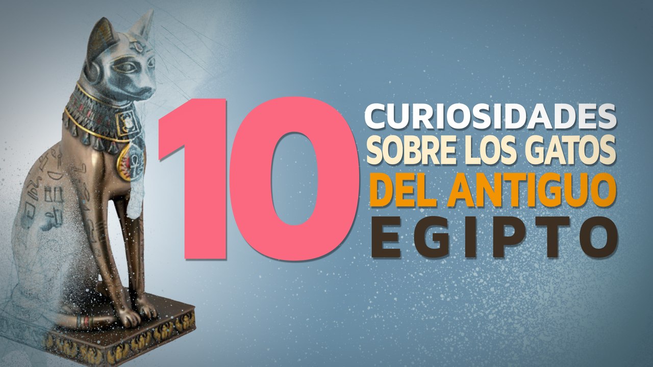 10 Curiosidades sobre los gatos en el Antiguo Egipto 