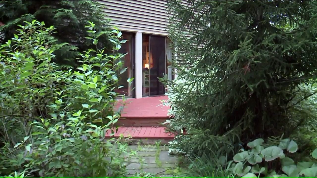 Connecticut Family Walks into Black Bear in Their Home