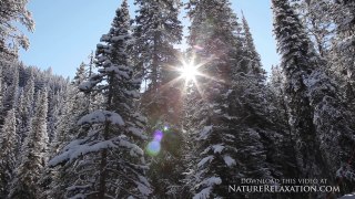 A Peaceful Snow Calming Nature Relaxation™ Video w Music