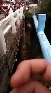 Philippines : Des enfants risquent leurs vie pour des plongeons dans une rivière !