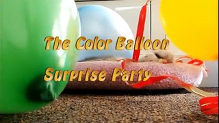 The Color Balloon Surprise Party for learning colors