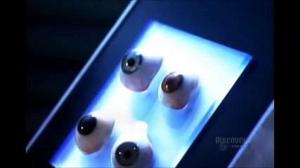 How its Made Artificial Eyes