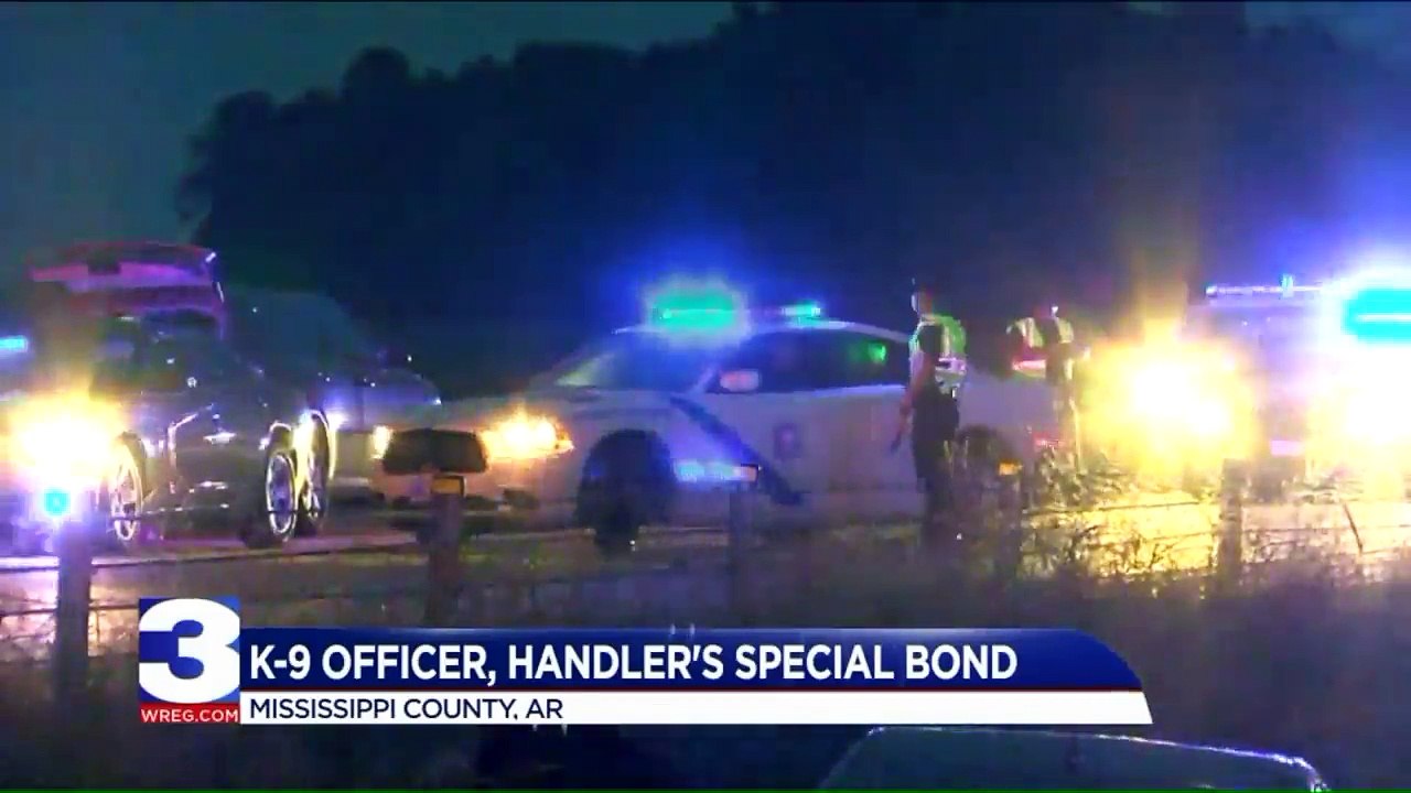 Arkansas State Police K-9, Suspect Dead Following Shootout Along Interstate