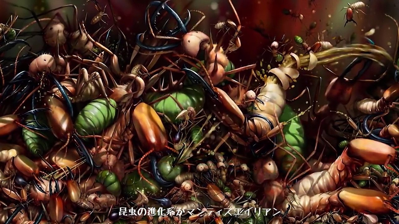 人体実験で人類と宇宙人のハーフを作るエイリアン【都市伝説】