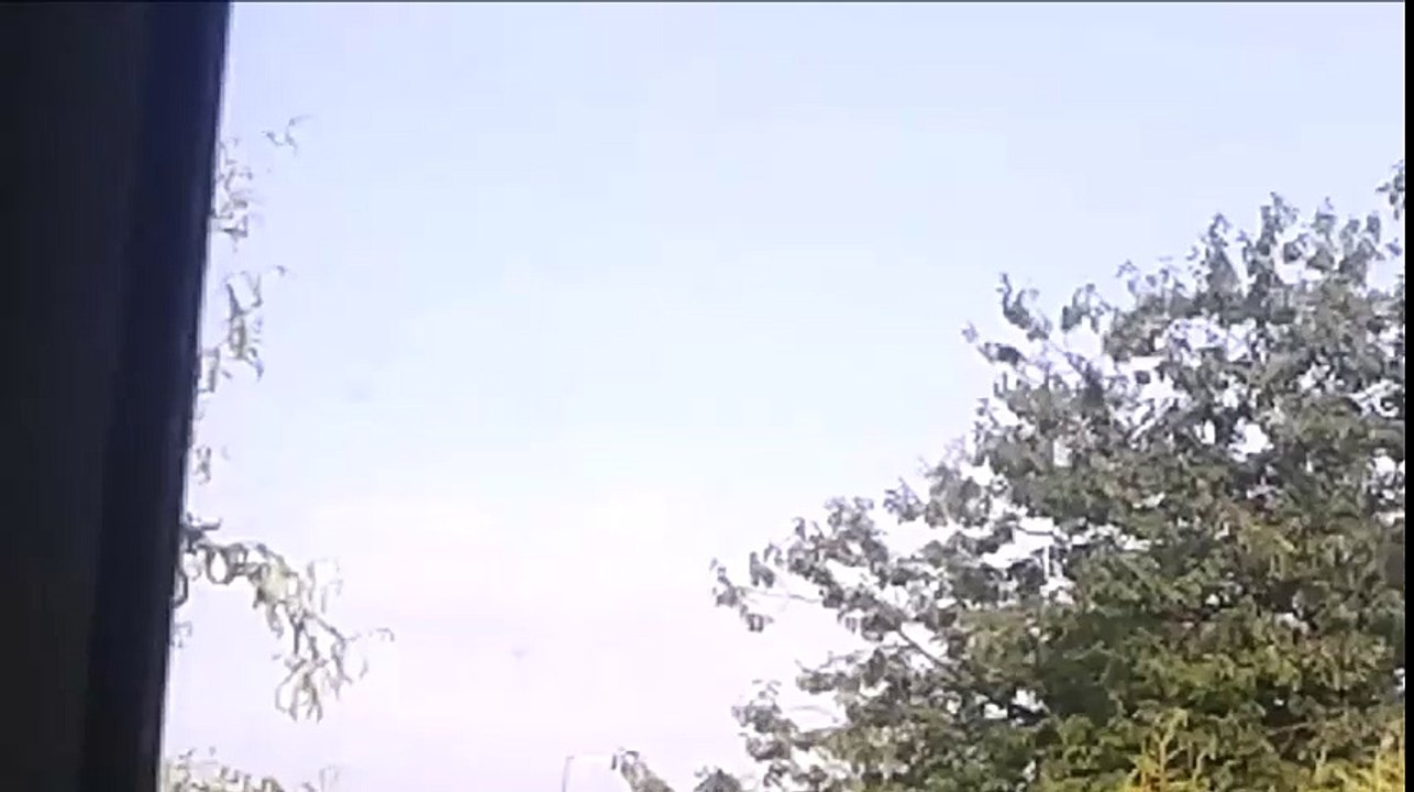 A Sunny Day and a Blue Sky