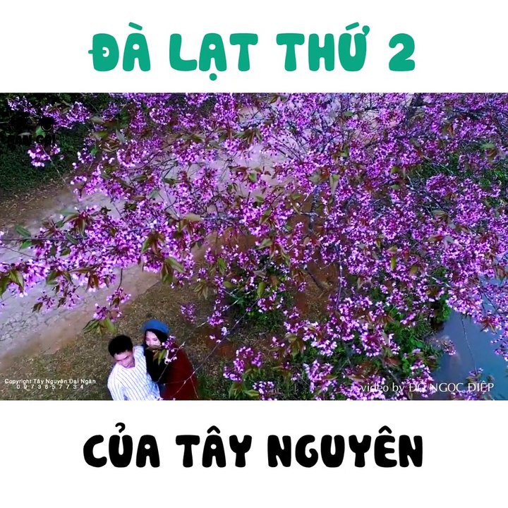 Măng Đen - Đà Lạt thứ 2 của Tây Nguyên - Du lịch Tây Nguyên - Ohman.vn