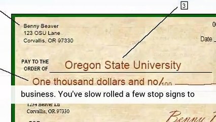 check writing service