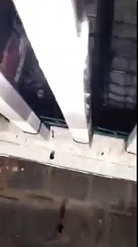 A scorpion trapped in electric fence is electrocuted - Best New