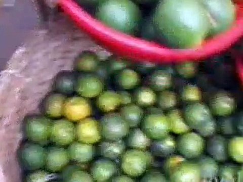 Anthony Bourdain A Cook's Tour - S01E05 - Wild Delicacies