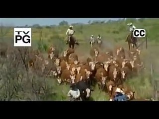 Great Inventions - Cattle Ranches