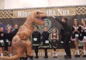 Move Over Michael Flatley - This Irish Dancing Dinosaur Is the True Lord of the Dance