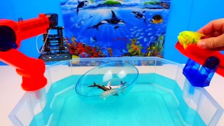 Learn Sea Animal Names Sharks Robotic Live Fish Water Toys Learning Colors Video for kids