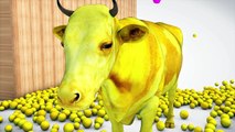 Learn Colors With Cows Animals W Learn Alphabet ABC Ball Colours Videos For Kids