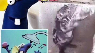   Ratinho Tomando Banho do Castelo Ra-tim-Bum pra vida real ele existe !  viral
