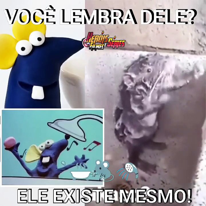   Ratinho Tomando Banho do Castelo Ra-tim-Bum pra vida real ele existe !  viral