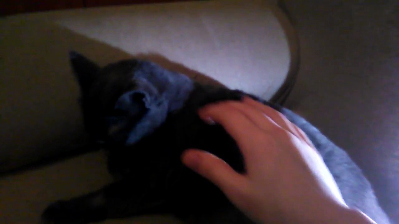 QUIETO PATO CON PELO NO ME ESTES PICOTEANDO!!!!!!!!!!!!!