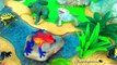Kids Toys Gila Monster Frill Necked Lizard Bearded & Komodo Dragon Learn about LIZARDS in