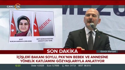 Bir anne ve 11 aylık bebeğine pusu kurdular