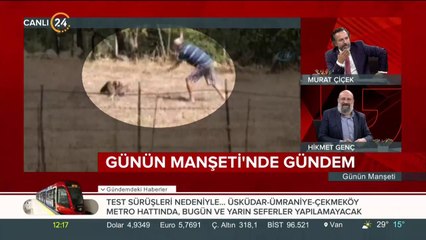 Şahinin kafasına kürekle vurdu