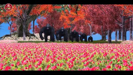 Crazy Gorilla Finger Family Nursery Rhymes For Children In 3D || Nursery Rhymes