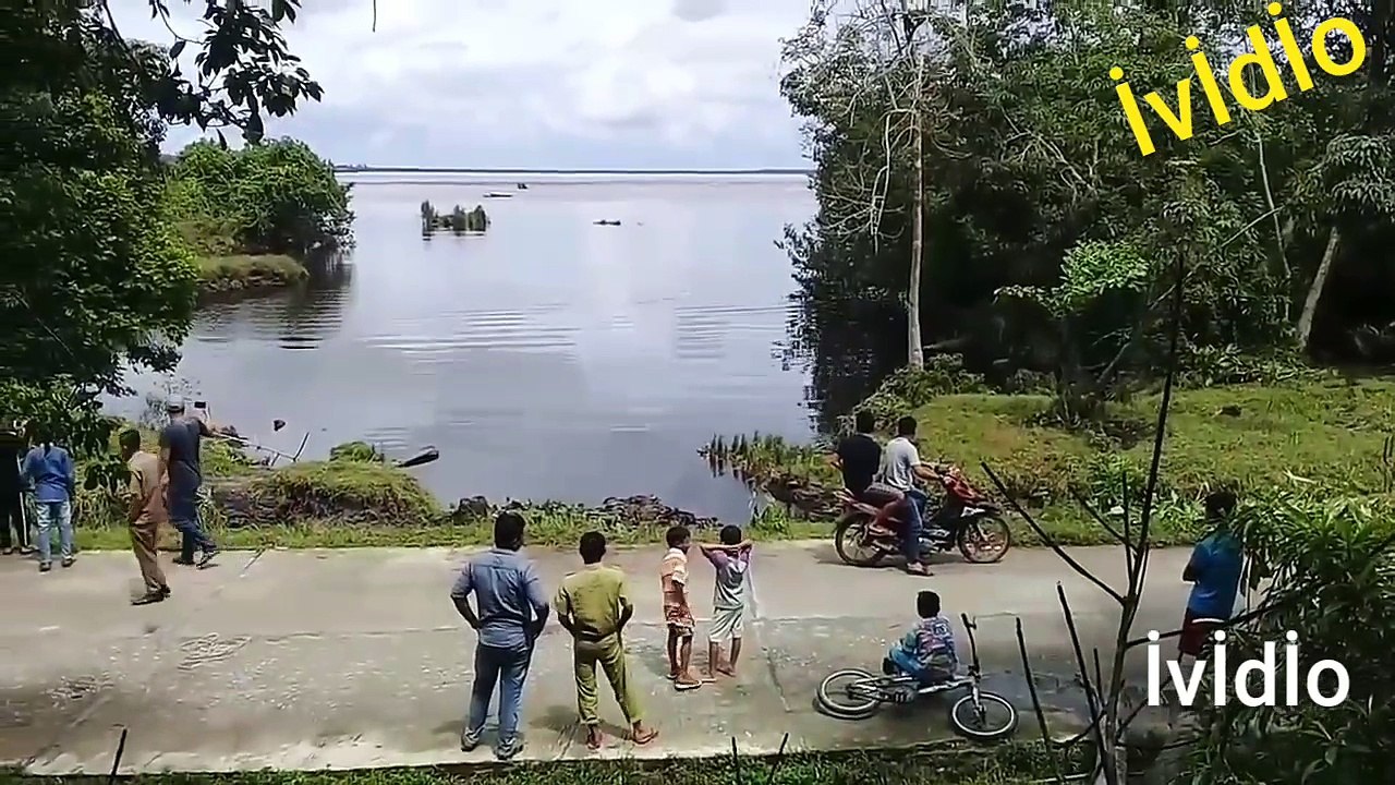 Tsunami wave
