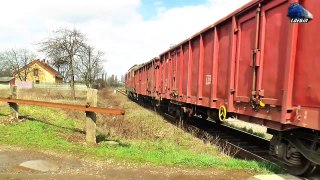 060-DA 60-1665-8 & Marfar DB Cargo Freight Train in Oradea Est Triaj - 02 April 2018